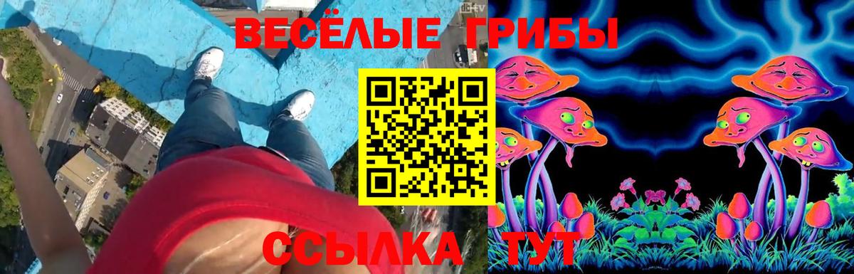 Алушта  Галлюциногенные грибы Magic Shrooms  Вход с VPN 